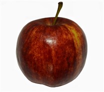 Royal Gala Apple