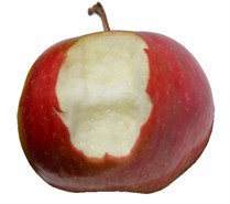 Pomme De Neige (Snow) Apple