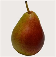 Sensation Pear